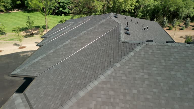 Best Roof Leak Repair  in Skippers Corner, NC